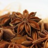 Badiane BIO
