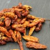 Piment de Cayenne entier